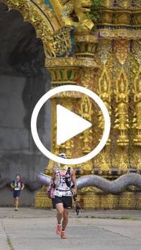 BIB:  <button type="button" onclick="openModal(26805078)" class="btn btn-primary btn-sm float-right" data-toggle="modal" data-target=".modal-high-quality">
                <i class="fa fa-download"></i> Download
                </button>